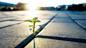 Cambridge University spin-out raises £2.25m funding to industrialize circular cement production